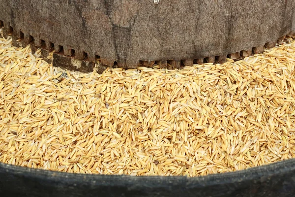Mini milla de arroz — Foto de Stock