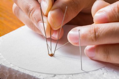 böcek Entomoloji pimleri