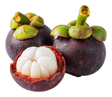 Mangosteen