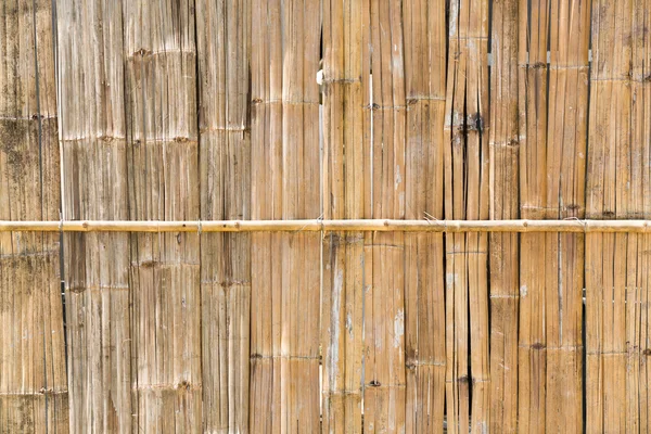 竹のテクスチャ — ストック写真