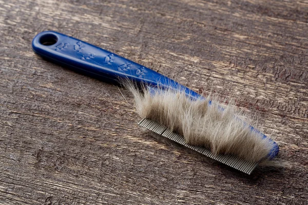 Fur on cat comb — Stock Photo, Image