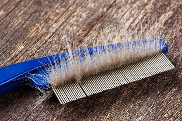 Fur on cat comb — Stock Photo, Image