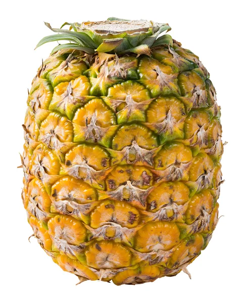 Golden pineapple — Stock Photo, Image