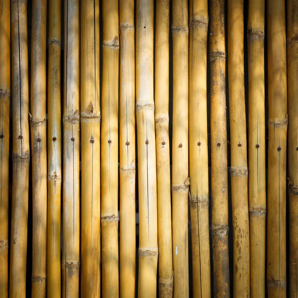 Vignette style Bamboo stick background — Stock Photo, Image