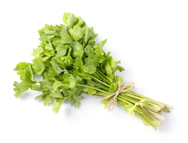 Celery — Stock Photo, Image