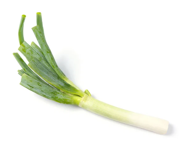 Japanese green onion — Stock Photo, Image