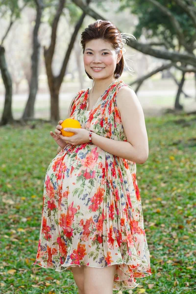 Asian pregnant woman — Stock Photo, Image