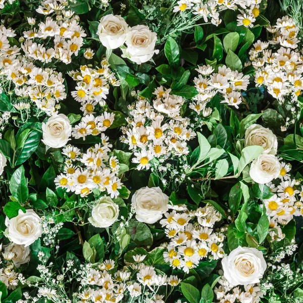 Белая роза и хризантема — стоковое фото