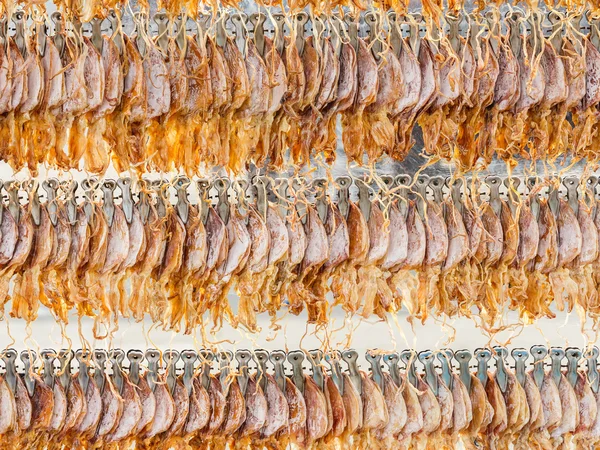 ปลาหมึกแห้ง — ภาพถ่ายสต็อก