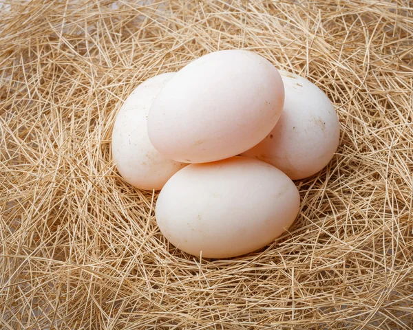 Ovos de pato orgânicos — Fotografia de Stock