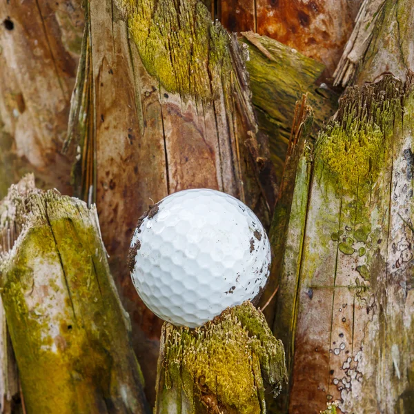 Golfový míček — Stock fotografie