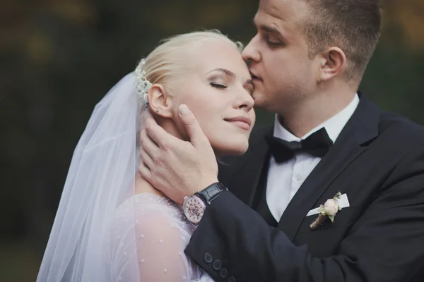 öpücük gelin damat