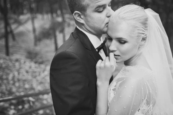 Pareja de boda — Foto de Stock