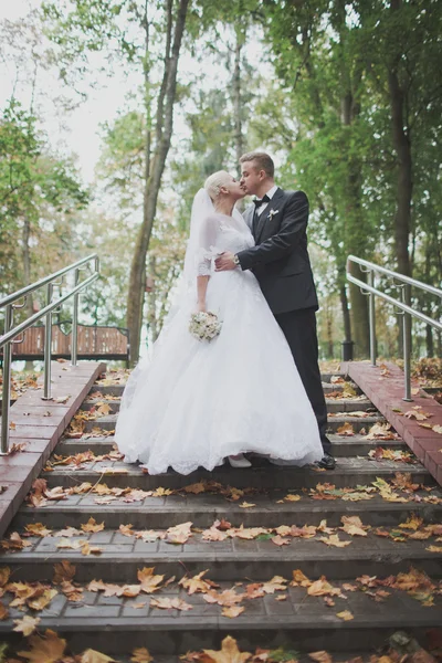 Bride and groom kissing — Stock Photo, Image