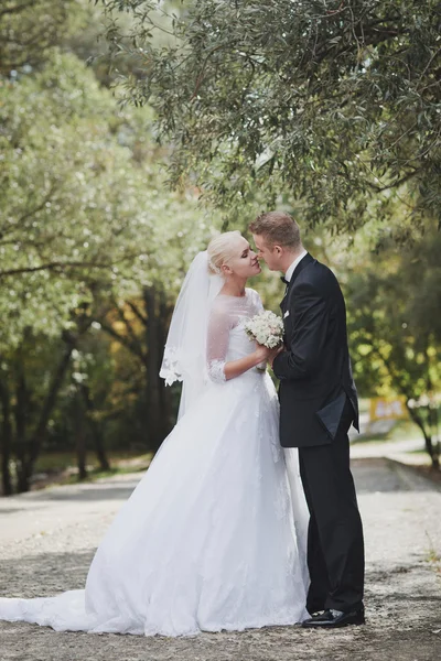 Novia y novio —  Fotos de Stock