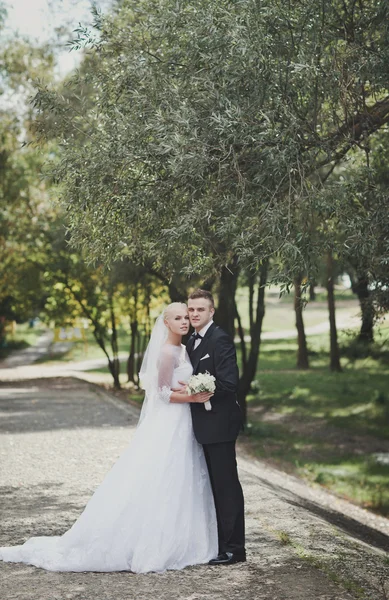 Elegantní ženich a nevěsta — Stock fotografie
