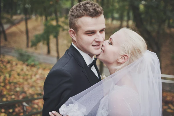 Pareja de boda — Foto de Stock