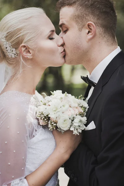 Groom and bride kissing Stock Image