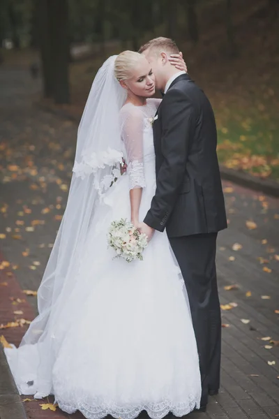 Tender groom and bride Royalty Free Stock Photos