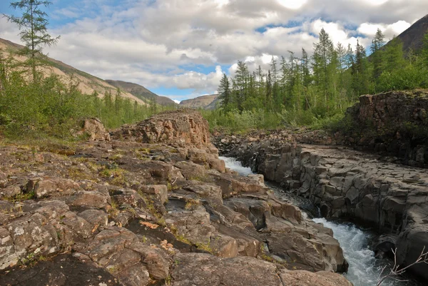Büyük Kanyon bucharama üzerinde
