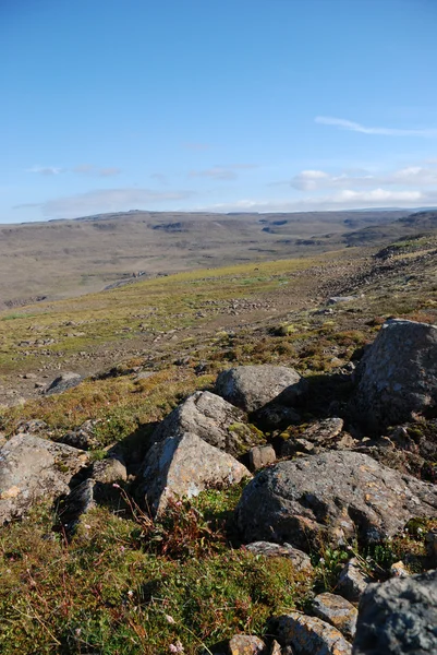 Eine felsige Landschaft — Stockfoto