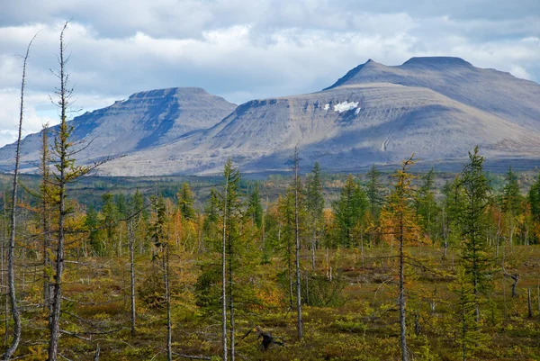 The Western edge of the plateau Putorana plateau. — Stock Photo, Image