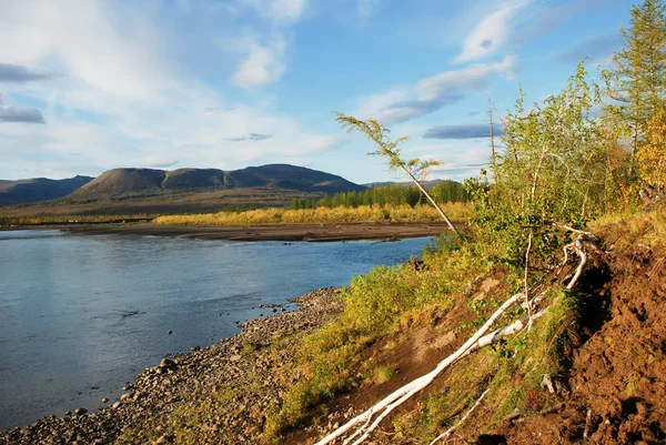 Blue river under the blue sky. — Stock Photo, Image