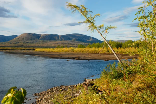 Blue river under the blue sky. — Stock Photo, Image