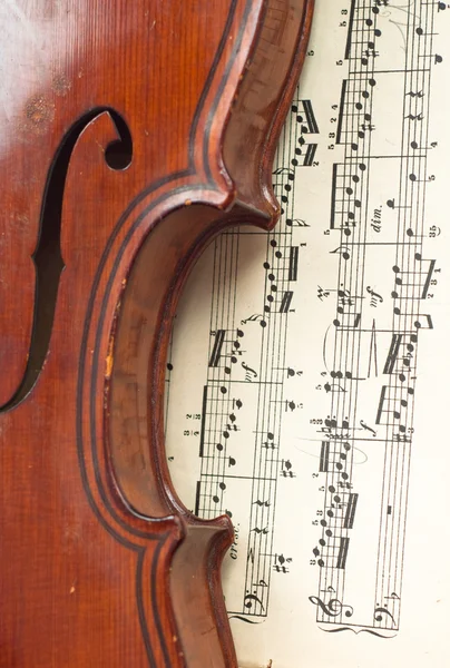 Duitse viool van de negentiende eeuw. — Stockfoto