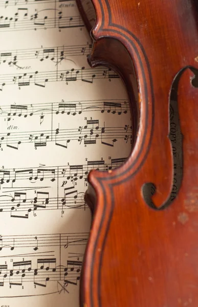 Duitse viool van de negentiende eeuw. — Stockfoto