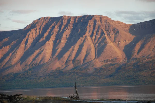 Gün batımından önce pembe dağ gölü lama. — Stok fotoğraf