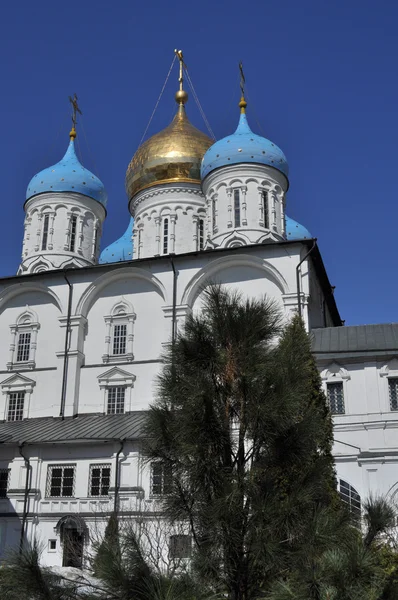 Nowospasski-Kloster in Moskau. — Stockfoto