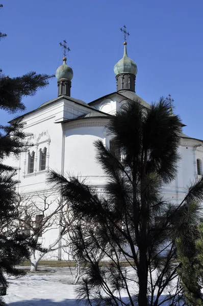Новоспасский монастырь . — стоковое фото