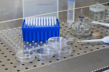 araştırmacının laminar kutusunda çalışma alanı.