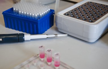 Biyoloji Laboratuvarı Danışma.