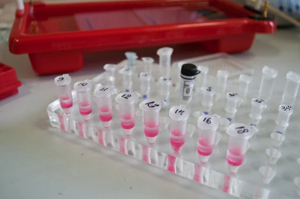 Desk in the biological laboratory. — Stock Photo, Image