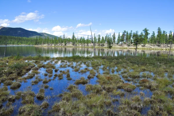 Paesaggio con lago e montagne lungo le rive . — Foto Stock