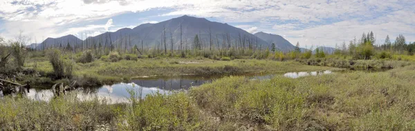 Panorama di un fiume di montagna . — Foto Stock