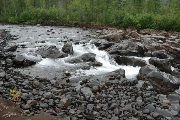 Waterfall in the rocks — Stock Photo, Image