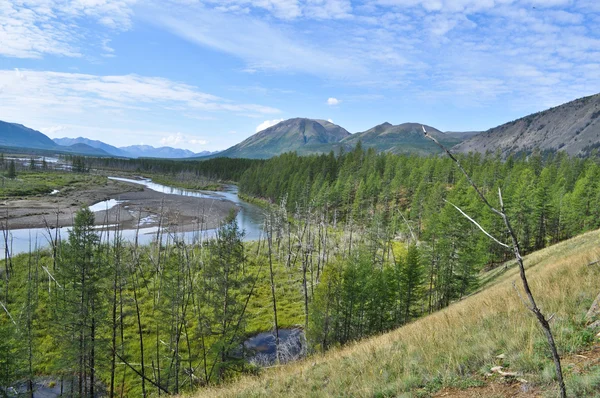 Den breda dalen av floden berg med en hög klippa. — Stockfoto