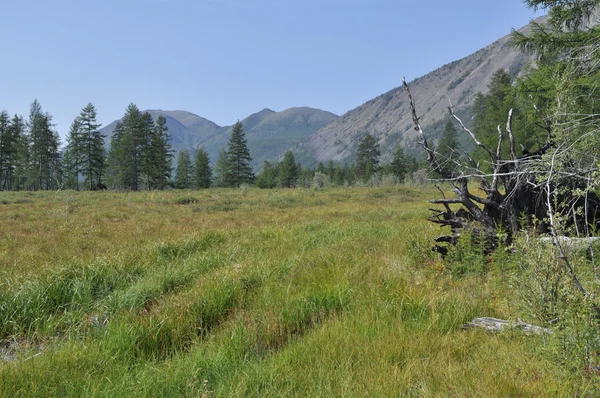 L'ampia valle tra le montagne . — Foto Stock