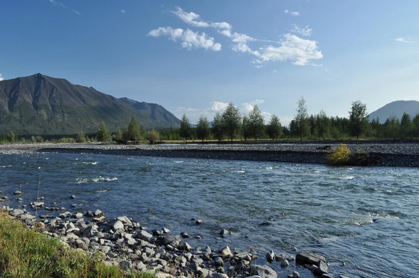 Pebble Bank of a mountain river. — Stock Photo, Image