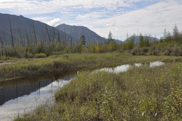 Landscape marshy floodplain of the river. — Stock Photo, Image