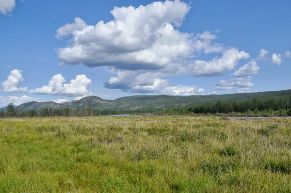 Swampy plain under the blue sky. — Stock Photo, Image