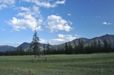 dağ Vadisi nehir suntar çayırlar.