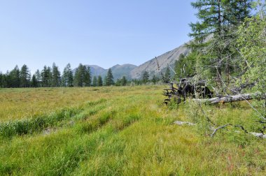 dağların arasındaki geniş vadi.