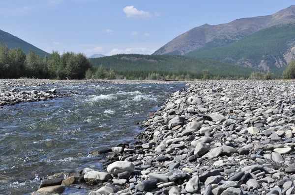 Banco de guijarros de un río de montaña . — Foto de Stock