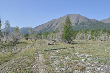 dağların arasındaki geniş vadi.