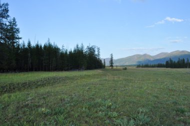 dağ Vadisi nehir suntar çayırlar.