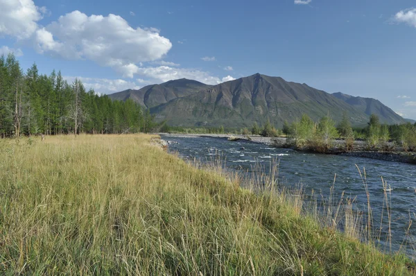 Pebble oever van een rivier berg. — Stockfoto